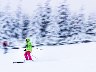 Skier skiing down a treelined run