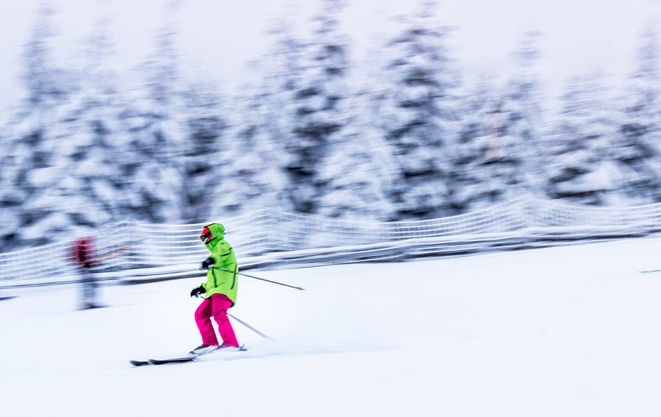 Skier skiing down a treelined run